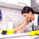 House Cleaning Service Provider