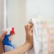 maid services