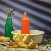Detailed Cleaning Services Urbana