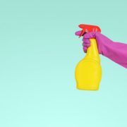 detailed cleaning services
