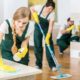Residential Cleaner